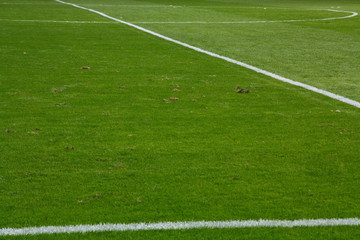 Obraz premium Natural football pitch, central line