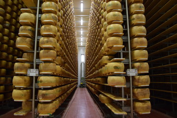 Parmigiano