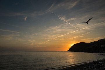 atardecer playa francia