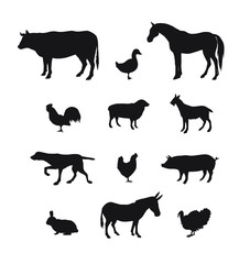 Vector set bundle of black domestic animals silhouette isolated on white background