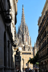 Fototapeta na wymiar The Gothic Quarter, the Cathedral of the Holy Cross and Saint Eulalia