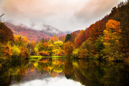 Small lake surrounded by forest with colorful plants at autumn cloudy and foggy day. Lake Grza near the Paracin in Serbia.