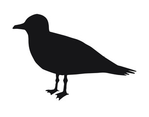 Vector black sea gull silhouette isolated on white background