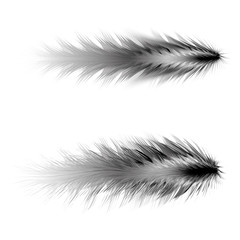 realistic slim feather art brush elements