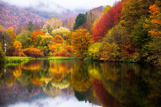 Small lake surrounded by forest with colorful plants at autumn cloudy and foggy day. Lake Grza near the Paracin in Serbia.