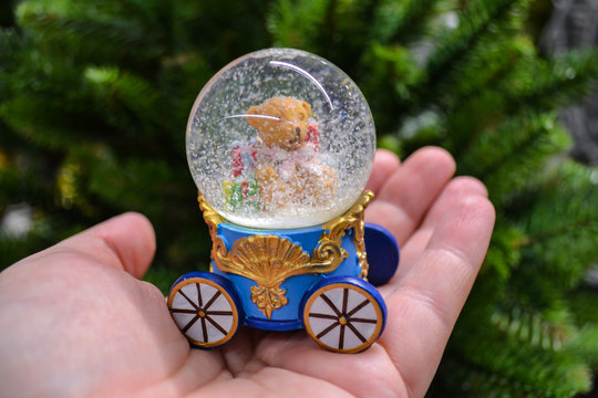 The hand holds a snow globe in the form of a carriage, inside which sits a Teddy bear with gifts, and snowflakes are spinning. On the background of green fir branches - Powered by Adobe