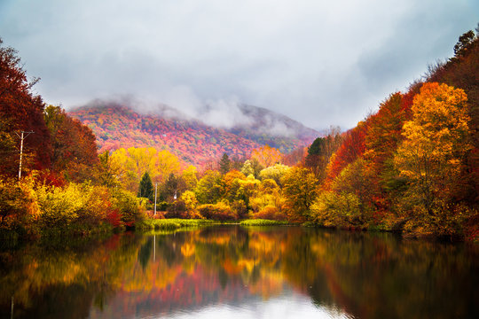 Small lake surrounded by forest with colorful plants at autumn cloudy and foggy day. Lake Grza near the Paracin in Serbia.