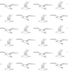 Vector seamless pattern of hand drawn flying sketch sea gull isolated on white background