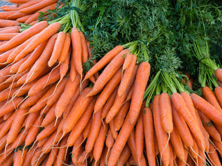 frische Karotten, Mohrrüben auf einem Wochenmarkt