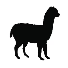 Foto auf Alu-Dibond Vector flat black alpaca llama silhouette isolated on white background  © Sweta