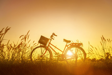 Obraz premium Vintage bicycle parked in landscape autumn field