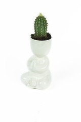 Ceramic decorative art pot with plant , floral or cactus. Eco friendly figure for plants