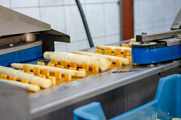 Industrial processing of white asparagus vegetable on agricultural farm in Netherlands, washing,...