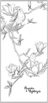 3 0 Best Magnolia Tree Drawing Images Stock Photos Vectors Adobe Stock 3 0 Best Magnolia Tree Drawing Images Stock Photos Vectors Adobe Stock