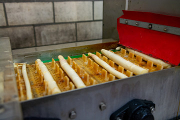 Industrial processing of white asparagus vegetable on agricultural farm in Netherlands, washing, peeling, sorting and packing for delivery