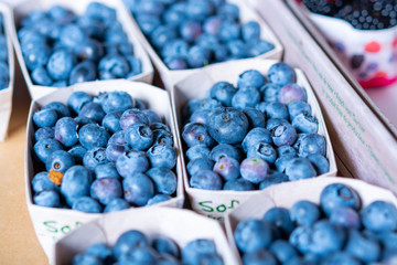 Healthy food and antioxidant, blueberry berries harvest