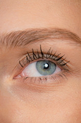 Fototapeta premium eyes detail close-up macro shot 