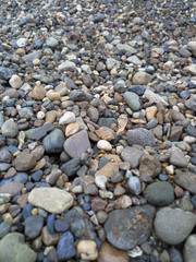 a scattering of colored pebbles of different sizes