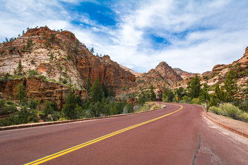 Road through the Zion National Park. Landscape of rock hills and trees. Utah, USA