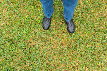 Man legs with pants and black shoes on wet sward