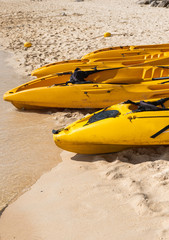 A row of colorful yellow kayaks on a sandy beach ready for paddlers in sunny day. Several yellow...
