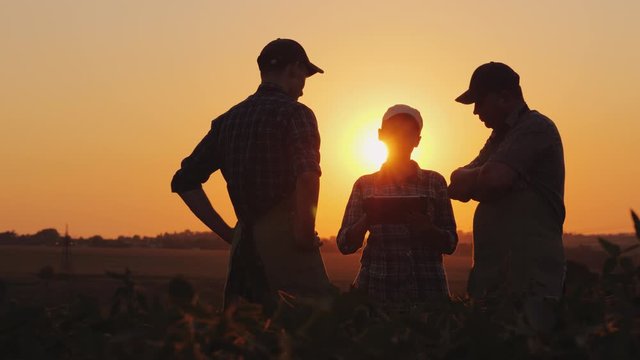 A family of farmers debating in the field at sunset. Family farm and agribusiness concept
