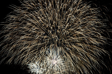Fireworks Exploding against a Night Sky, at Lewes Bonfire Night Celebrations © lemanieh