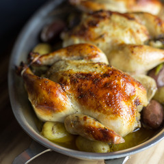 Close up view of Cornish hens, roasted with small fingerling potatoes. 