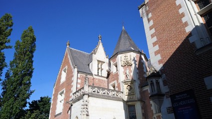 Fototapeta na wymiar Château et parc du Clos-Lucé