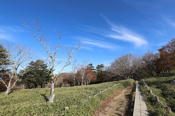 大台ケ原　登山コース