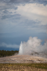 Old Faithful Eruption at Yellowstone National Park