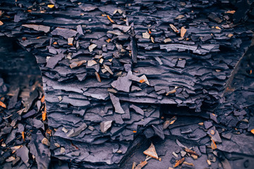 Shiny Colorful Wet Pebbles on Ocean Shore