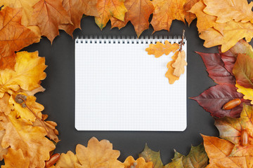 Frame composed of colorful autumn leaves with notebook on black background. Autumn mock-up with copy space for your design. Flat layout, top view.