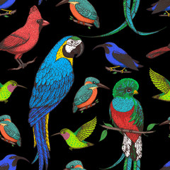Naklejka premium Seamless pattern with red cardinal bird, hummingbird, kingfisher, quetzal, ara parrot, purple honeycreeper. Animals illustration. Tropical birds. Hand drawn vector illustration.