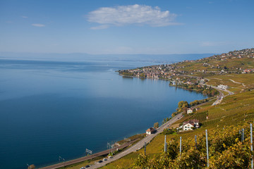 Vineyards and the city of Lausanne on the north shore of Lake Geneva of Switzerland