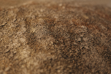 Texture of the wall for background