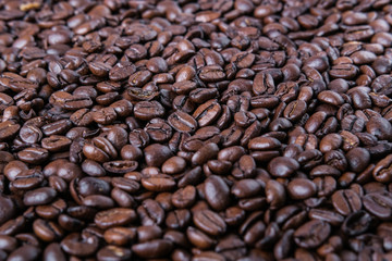 coffee beans on a background