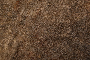 Texture of the wall for background