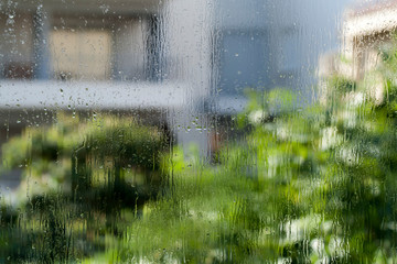 Wet window glass with natural green blurs and silhouettes