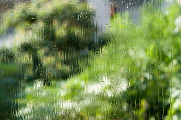 Wet window glass with natural green blurs 