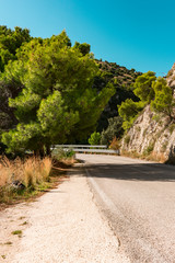 road along the Adriatic Sea. Rocks and pine trees, Mattinata, Italy
