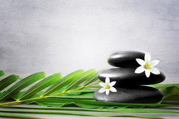 Obraz na płótnie Canvas Spa stones with palm branch and white flower on light background.