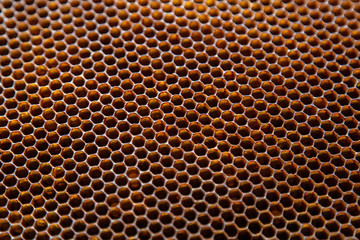 honeycomb seamless background