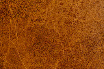 texture of old leather close up