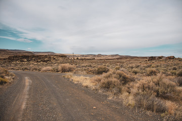 Fototapeta na wymiar road in desert