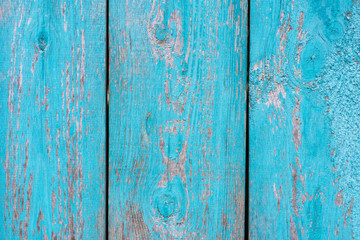 Fototapeta na wymiar old wooden fence blue paint peeling board texture. Background