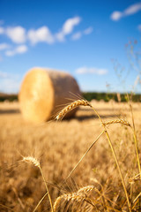 Meule de foin en campagne. Paysage de France et agriculture