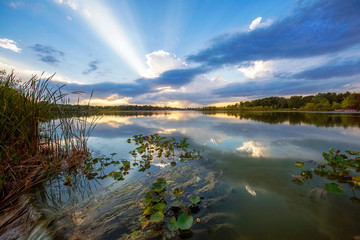 sunbeams over summer lake