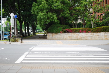 横断歩道