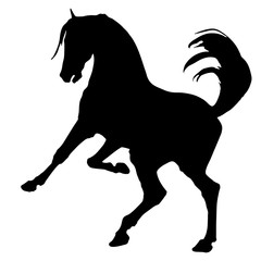 isolated hand drawing, black horse silhouette on white background. the horse stood on its hind legs.